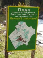 P1010269.JPG