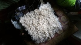20160918_130652.jpg