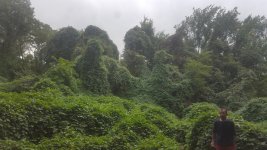 20160930_133317.jpg