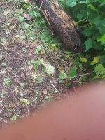 20160930_133349.jpg