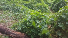 20160930_133407.jpg