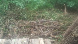 20160930_134420.jpg