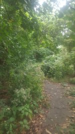 20160930_142241.jpg