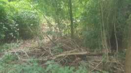 20160930_142252.jpg