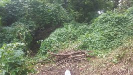 20160930_133220.jpg