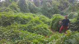 20160930_133304.jpg
