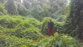 20160930_133310.jpg