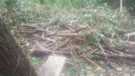 20160930_134219.jpg