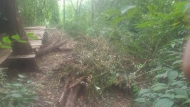 20160930_134234.jpg