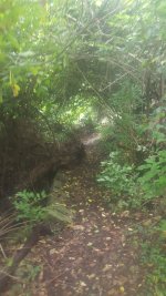 20160930_142316.jpg