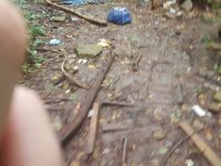 20161001_121238.jpg