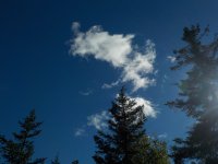 DSCN0387.JPG