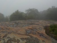 DSCN0163.JPG