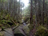 DSCN0271.JPG