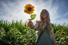 sunflower2.jpg