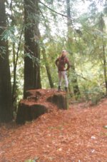 3_Redwood Lucia.jpg