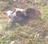 WP_20161106_11_11_15_Pro.jpg