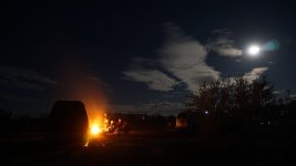 DSC02397.JPG
