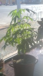 WP_20170222_15_18_57_Pro.jpg