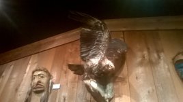 WP_20170223_12_32_54_Pro.jpg