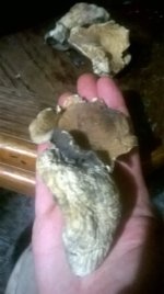 WP_20170223_20_08_50_Pro.jpg