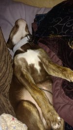 IMG_20170215_220209844.jpg