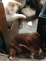 IMG_20170302_184552.jpg