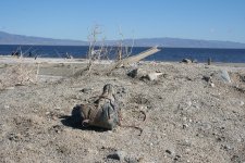 IMG_0033.JPG