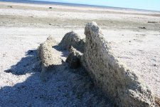IMG_0037.JPG