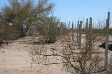 IMG_0095.JPG