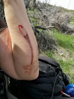 tmp_6941-IMG_20170403_1434161291893224.jpg