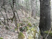 tmp_31804-IMG_20170405_125317-1725363350.jpg