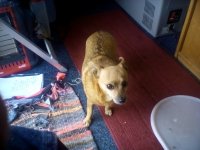 IMG_20170304_164641.jpg