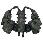 mfh_saav_czech_1C.jpg