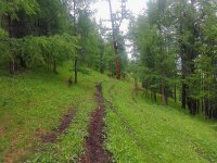 2017-06-25_08-42-22.jpg