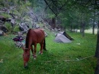2017-06-25_08-41-14.jpg