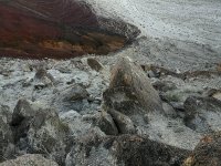 IMG_20170419_080050.jpg
