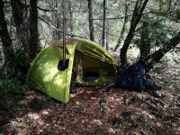 IMG_20170405_194524.jpg