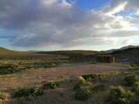 IMG_20170510_111601.jpg