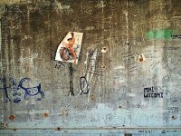 IMG_20170510_111720.jpg