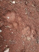IMG_20170531_082302.jpg