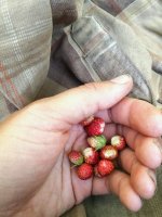 IMG_20170529_223810.jpg