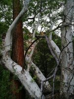 IMG_20170529_220035.jpg