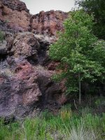IMG_20170529_215531.jpg