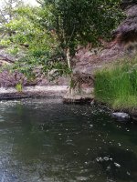 IMG_20170529_221457.jpg