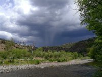 IMG_20170531_082825.jpg
