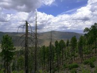 IMG_20170601_210040.jpg