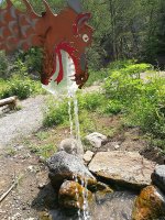 IMG_20170615_174418.jpg