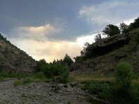 IMG_20170615_174540.jpg