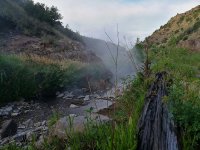 IMG_20170615_174951.jpg